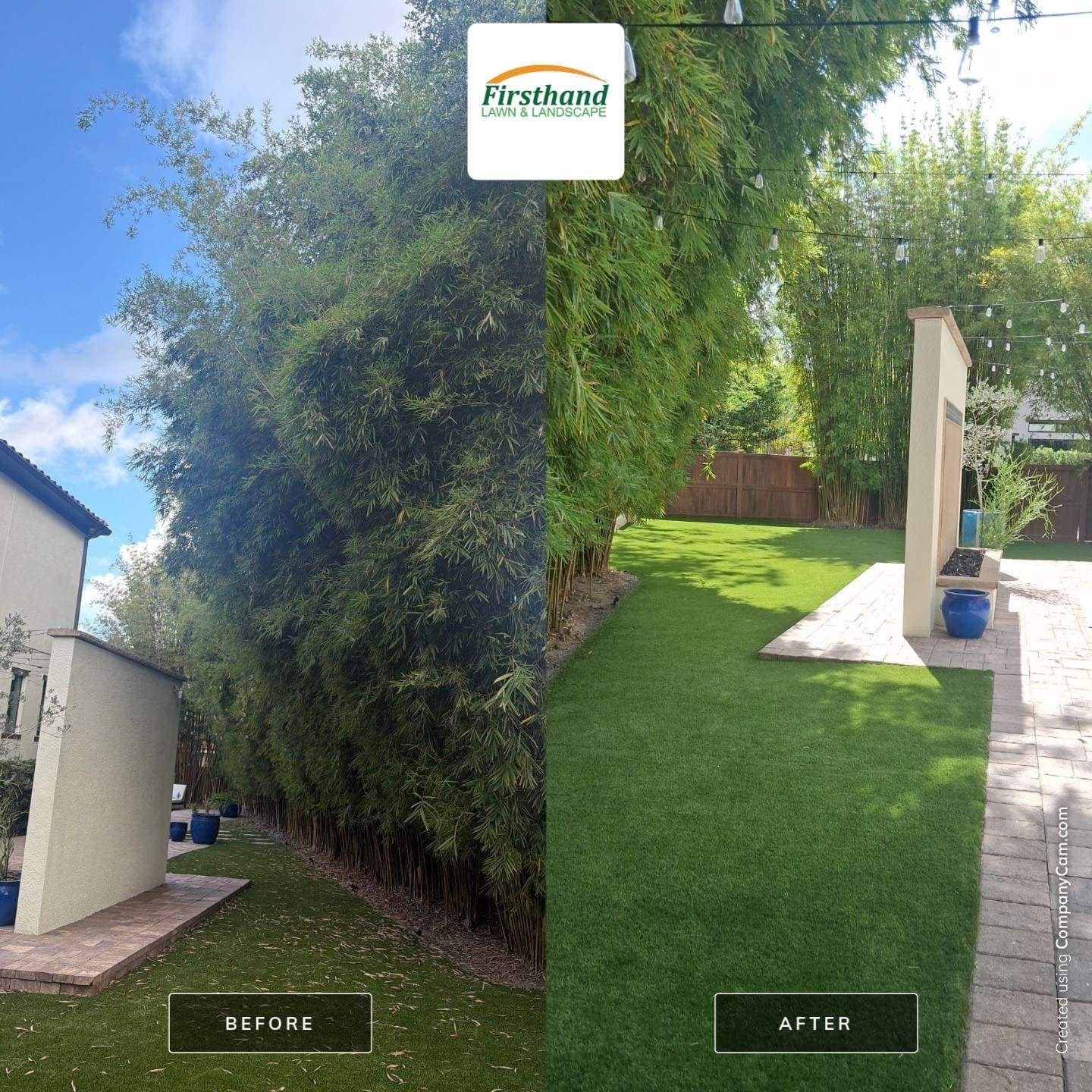 Before-and-after of bamboo removal and yard transformation by Firsthand Lawn and Landscape