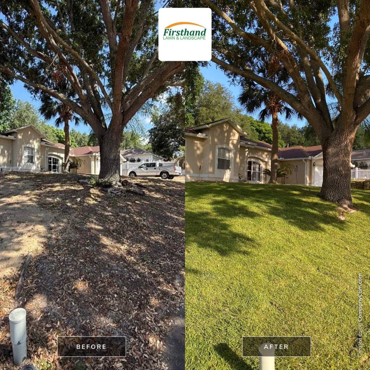 Before-and-after of side-yard restoration in Central Florida — dirt and leaf cover under oak transformed to manicured grass — Firsthand Lawn and Landscape