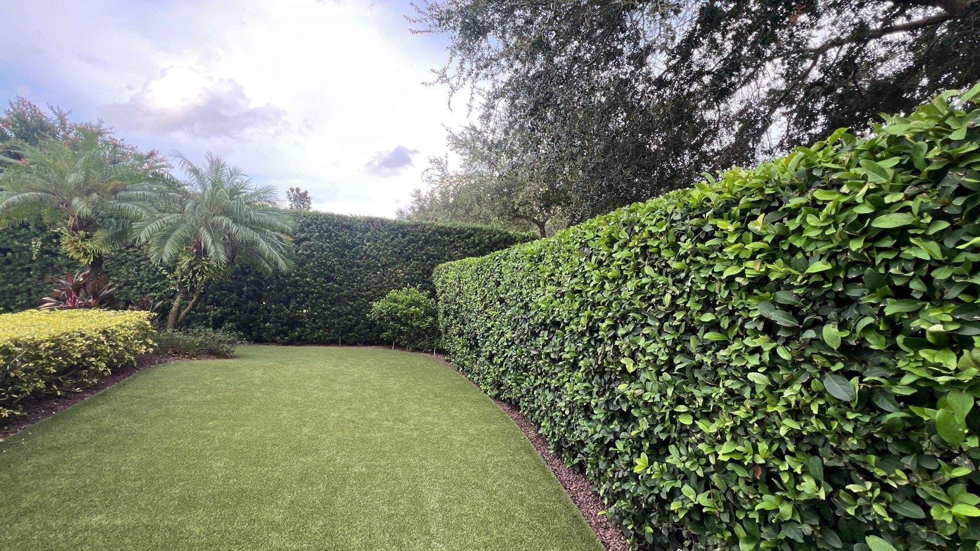 Professionally maintained landscaping in Windermere, FL